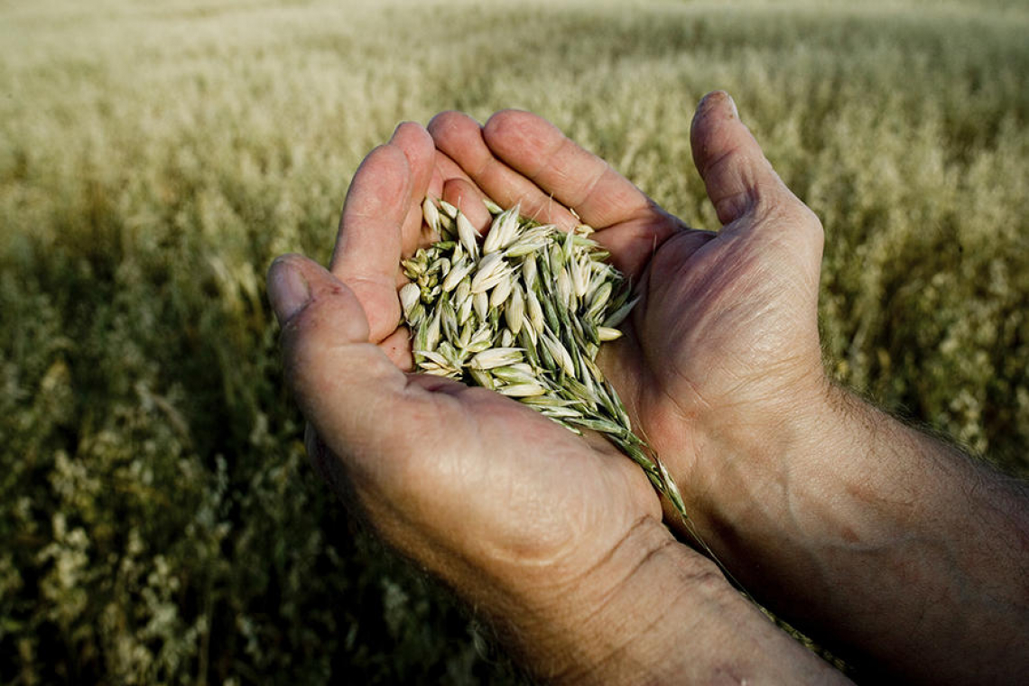 Green pass deve salvare agricoltura, non solo turismo