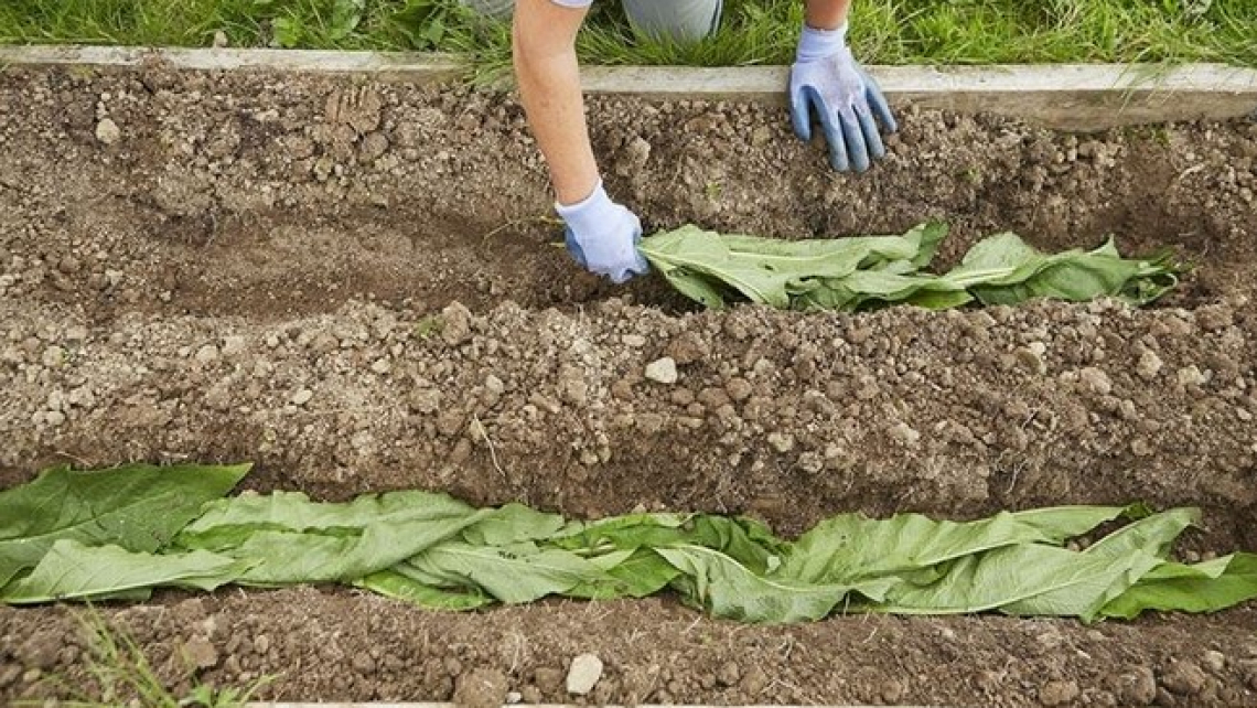 No della scienza al riconoscimento dell'agricoltura biodinamica