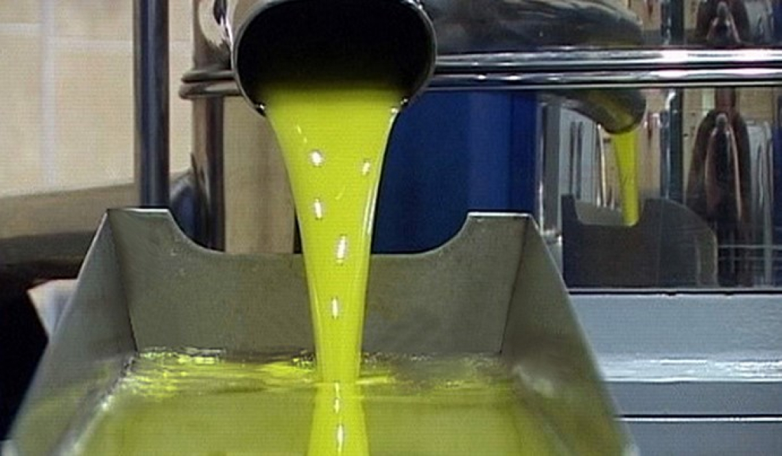 L'influenza della varietà sui componenti volatili dell'olio d'oliva formati nel percorso della lipossigenasi