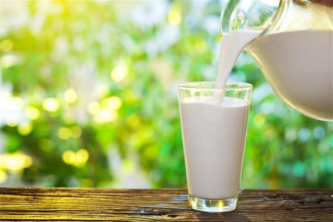 World Milk Day: torna il cappuccino al banco del bar