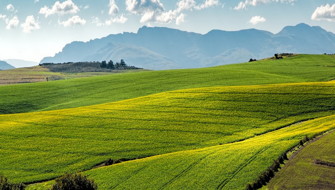 In vendita oltre 16mila ettari di terreni agricoli della Banca nazionale delle Terre Agricole di Ismea