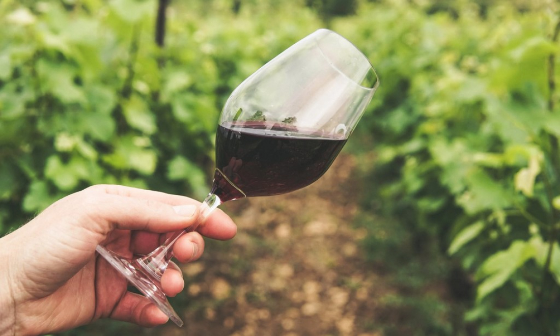 Il mercato del vino nel primo trimestre 2021: grande crescita in Ucraina, Corea del Sud e Norvegia