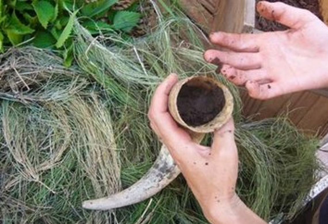 Il mondo scientifico agrario contro l'agricoltura biodinamica