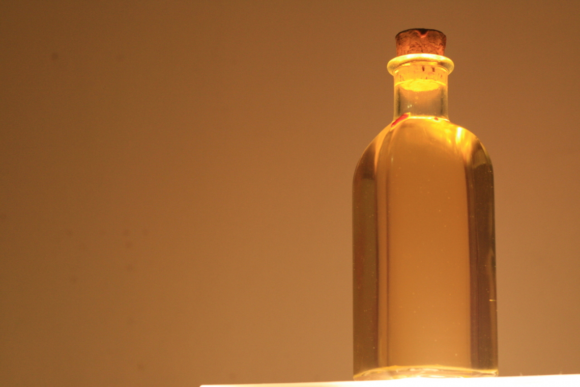 Dalla lotta alla mosca delle olive senza dimetoato all'etichettatura ambientale: gli EVOO DAYS