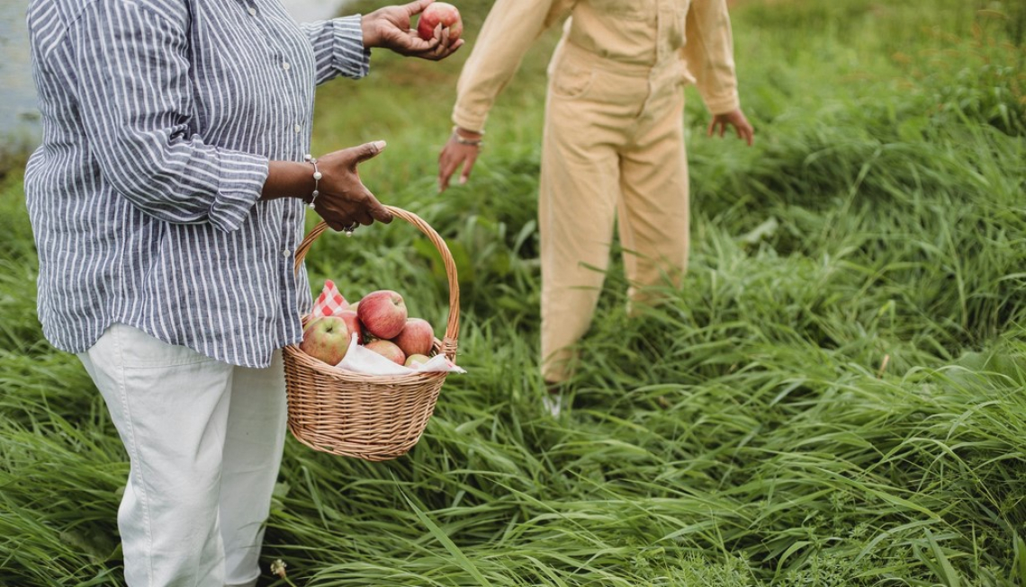 Creare la figura dell'agricoltore custode dell'ambiente e del territorio