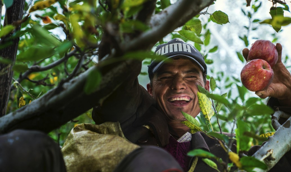 Lotta allo sfruttamento lavorativo in agricoltura e al caporalato