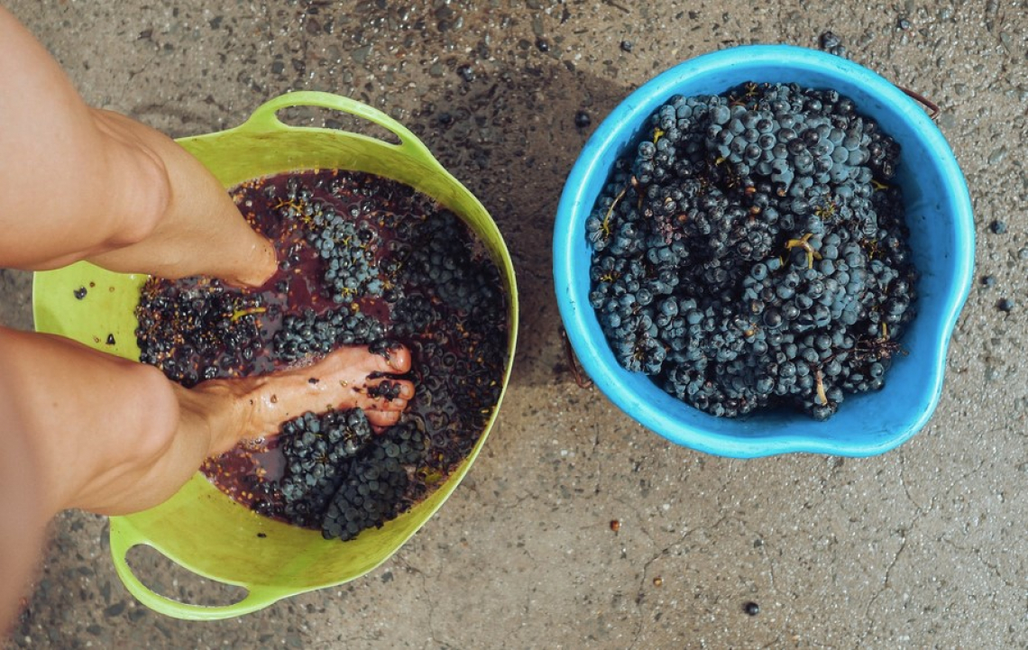 Vino e bevande alcoliche prodotte a partire da alcol denaturato, igienizzanti e disinfettanti