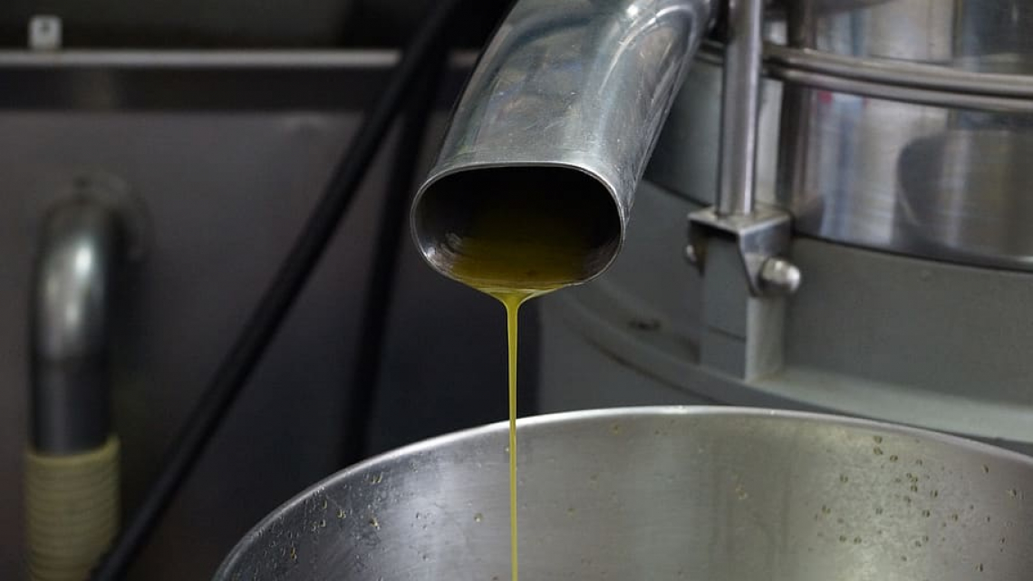 Nel futuro frantoi mobili per migliorare la qualità dell'olio extra vergine di oliva