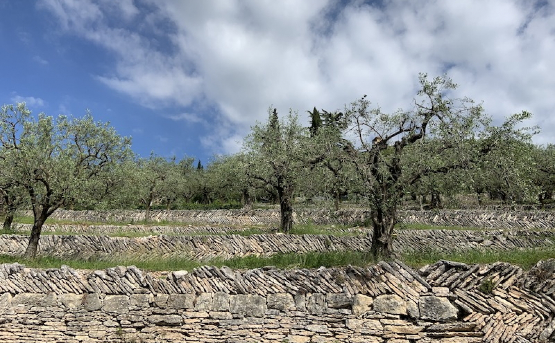 Le colline terrazzate della Valpolicella nel registro nazionale dei paesaggi rurali storici