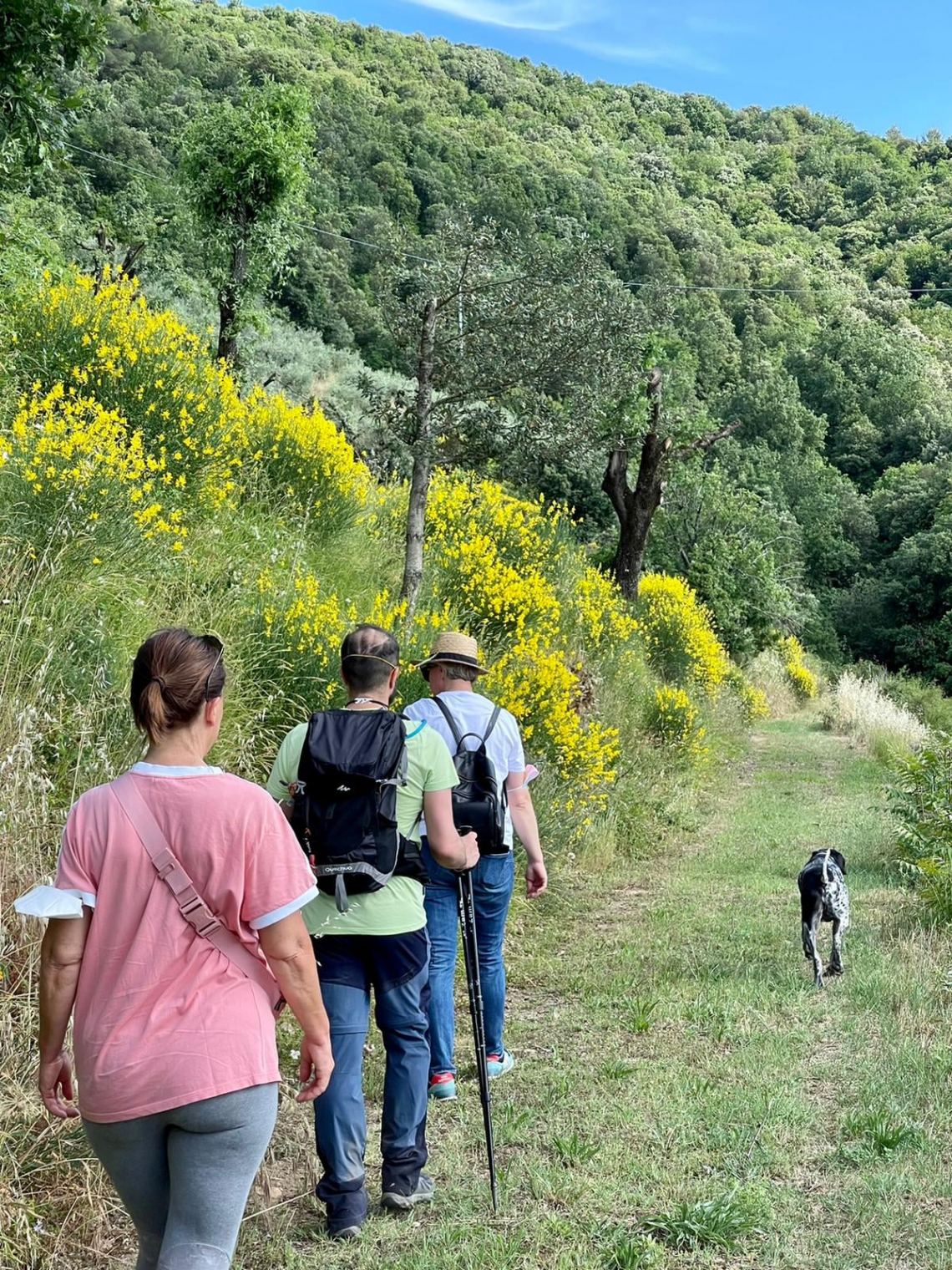 Passeggiate e buon gusto. Borghi, ulivi e fattorie