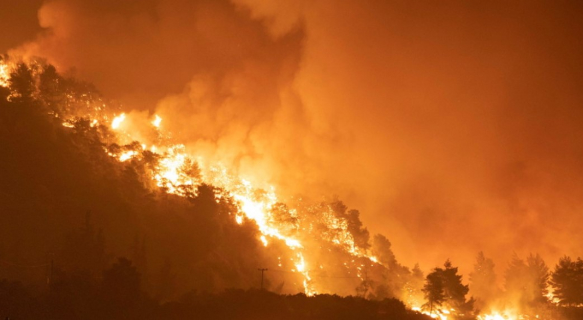 Distrutto dalle fiamme in Grecia un olivo di 2500 anni fa