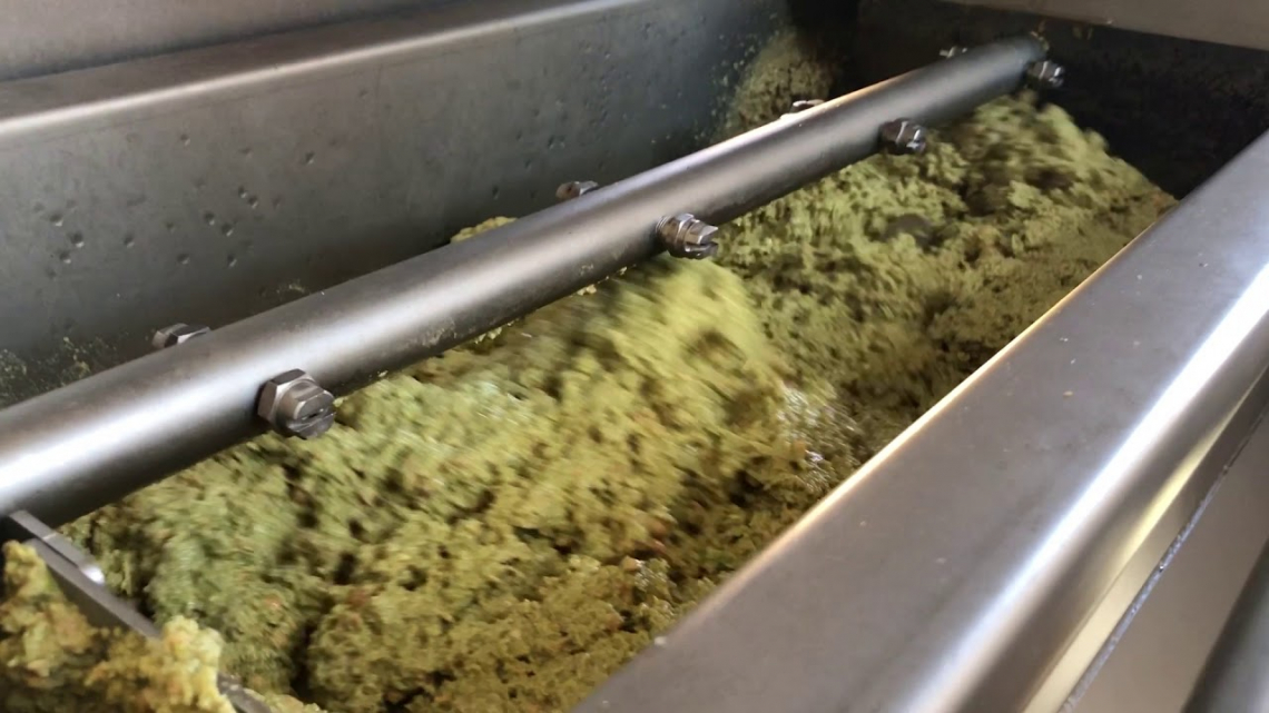 Ridurre la viscosità della pasta d'olive grazie a nuove tecnologie in frantoio