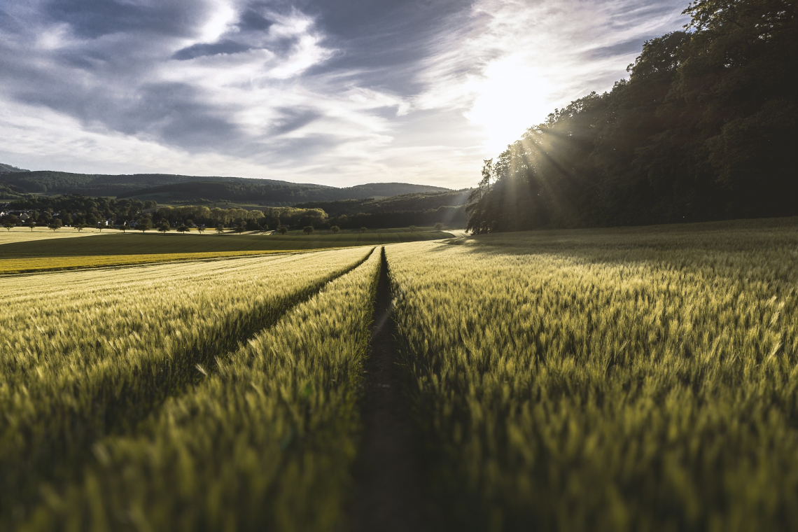 Una settimana di eventi per il G20 dell'Agricoltura a Firenze