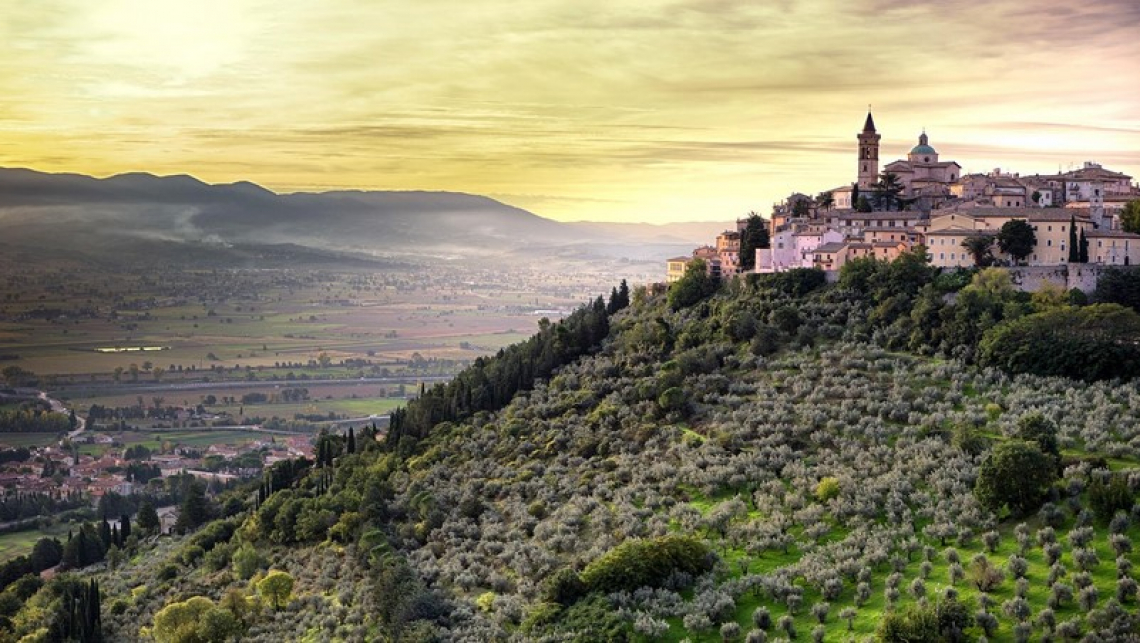 Candidatura Unesco per la Fascia Olivata Assisi-Speleto