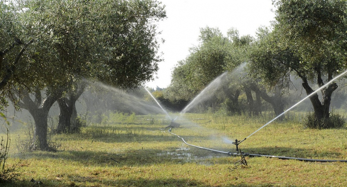 Approvati i primi progetti agricoli sul PNRR: valgono 1,6 miliardi