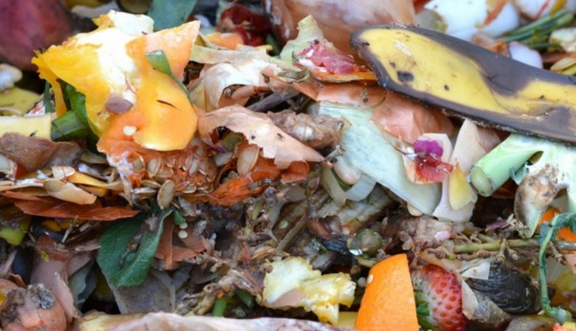 400 miliardi di dollari di cibo all'anno finiscono nella spazzatura