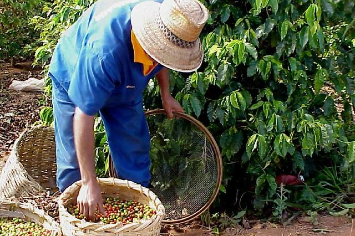 Commissariato il colosso ortofrutta Spreafico per caporalato