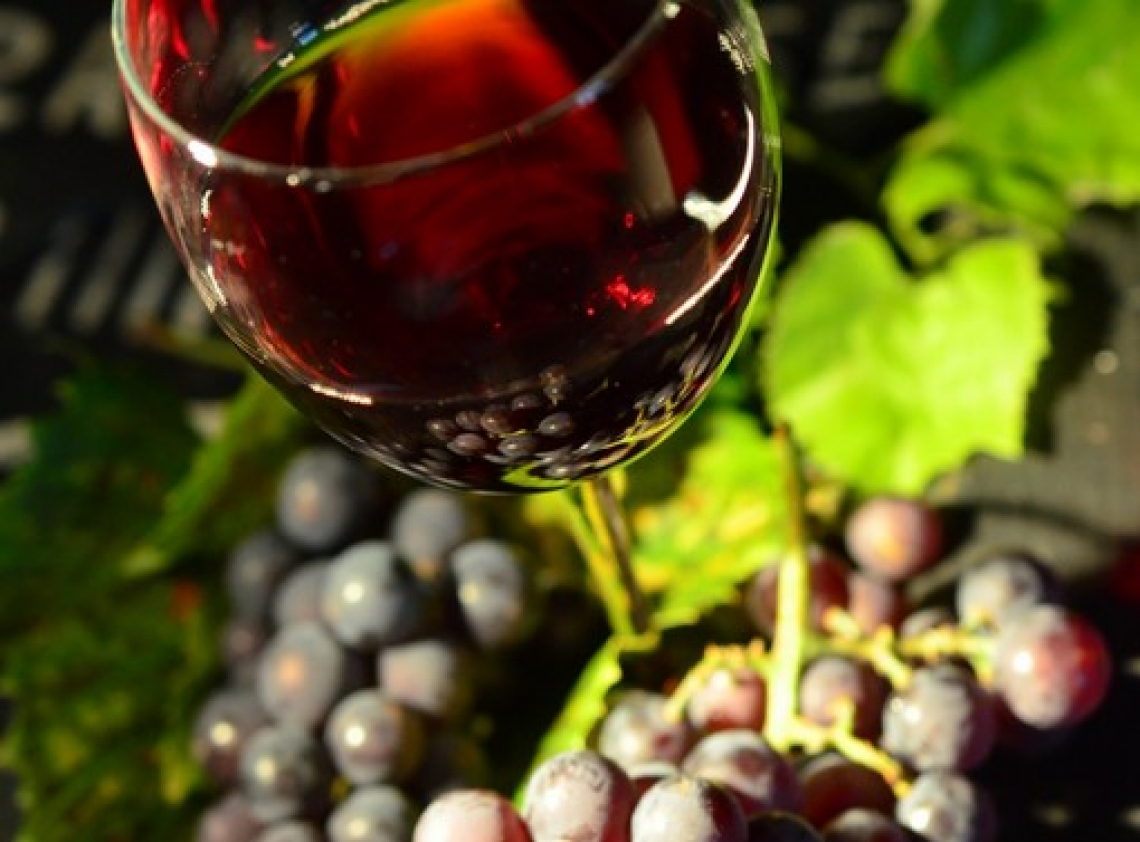 Impatto della breve esposizione ad alte temperature dei grappoli di Shiraz sullo sviluppo degli acini