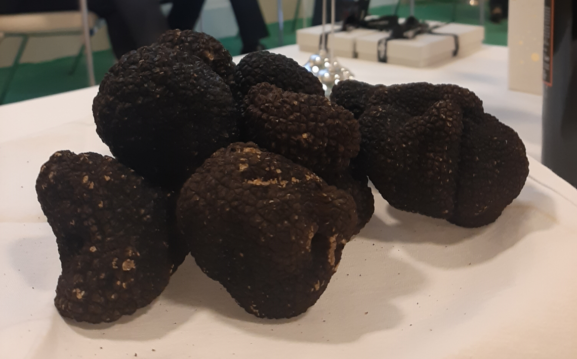 Piemonte, Toscana, Marche e Umbria: regine del tartufo nazionale