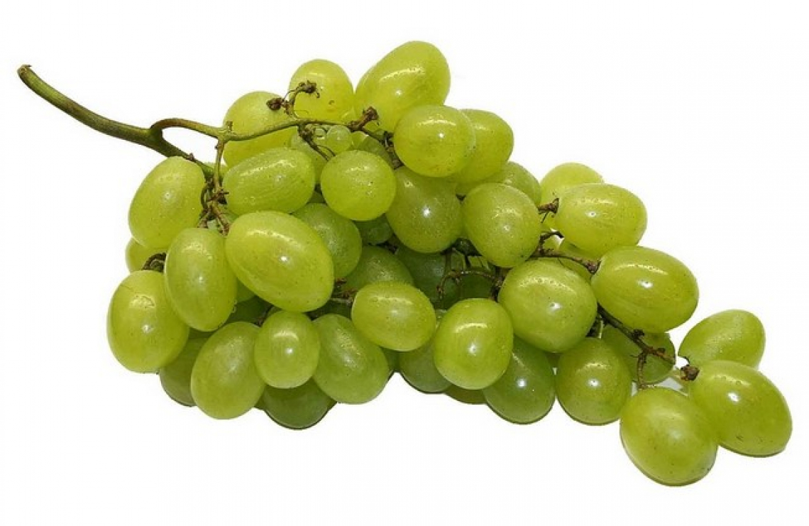 Ottima annata per l'uva da tavola italiana