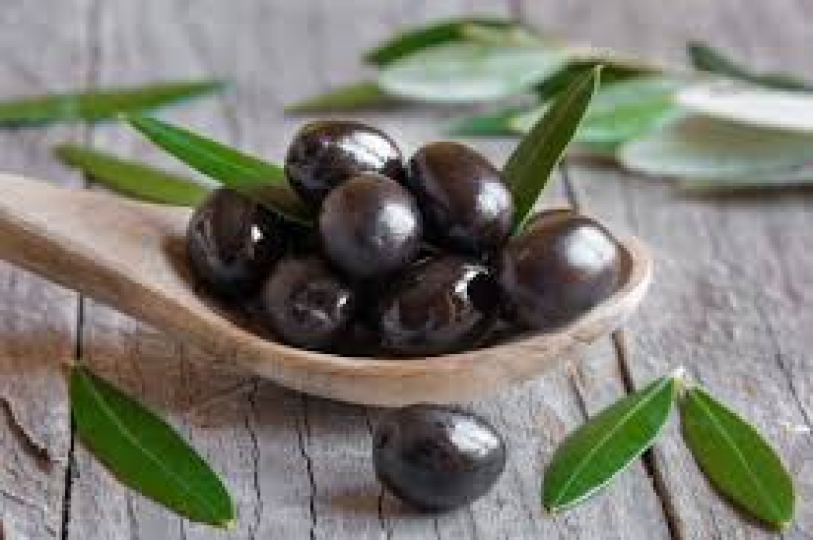 L'oliva Taggiasca è ora protetta da un marchio europeo