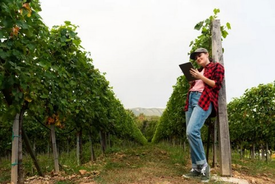 Tecniche per ridurre l'uso dei fungicidi in viticoltura