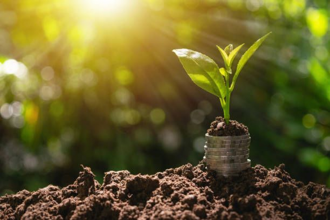 L'agricoltura europea premiata con certificati verdi dal 2022