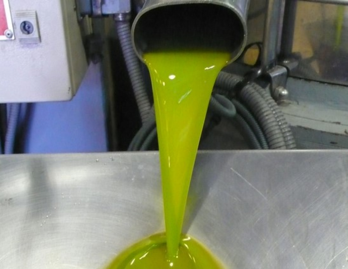 Come intervenire in frantoio sui fenoli che danno il gusto più amaro all'olio extra vergine di oliva