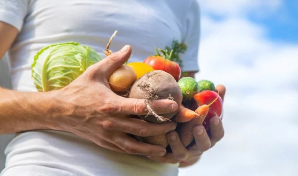 Continua a crescere la spesa alimentare degli italiani