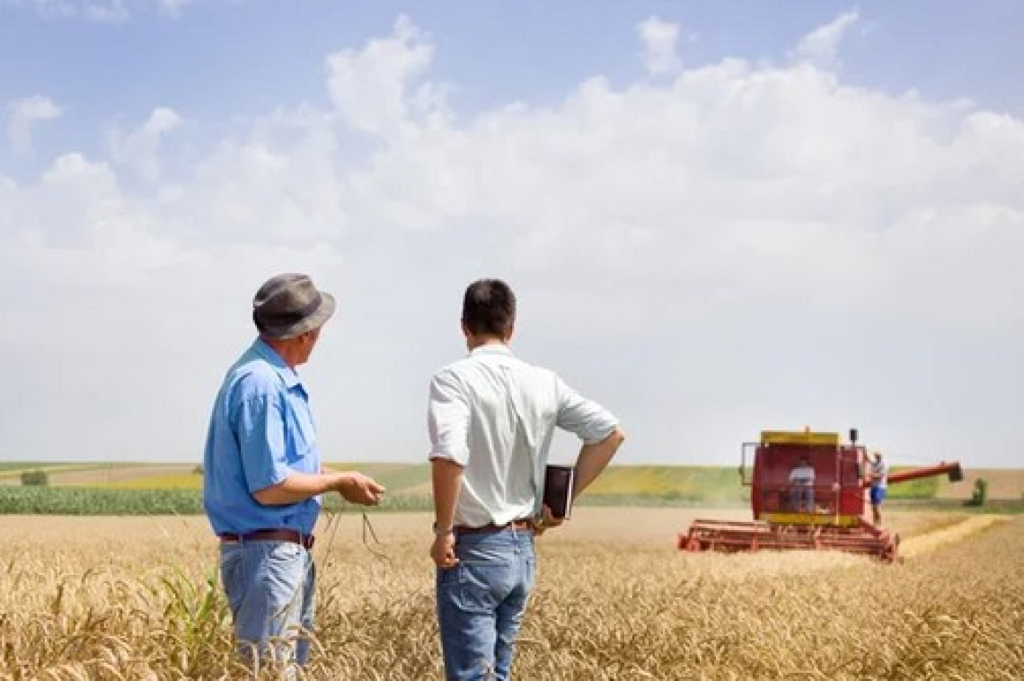 Dagli agricoltori italiani ai pastifici un milione di quintali di grano duro
