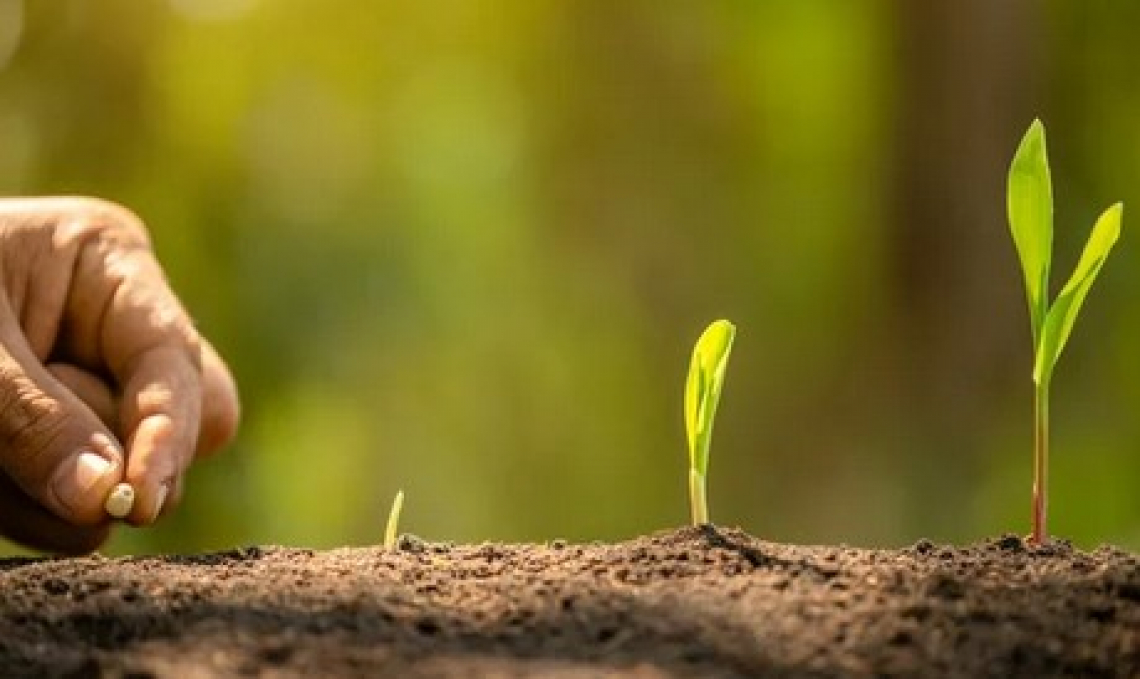 Il rischio paralisi del comparto agroalimentare