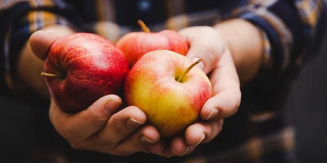 Il Green Deal mette a rischio il sistema italiano delle mele