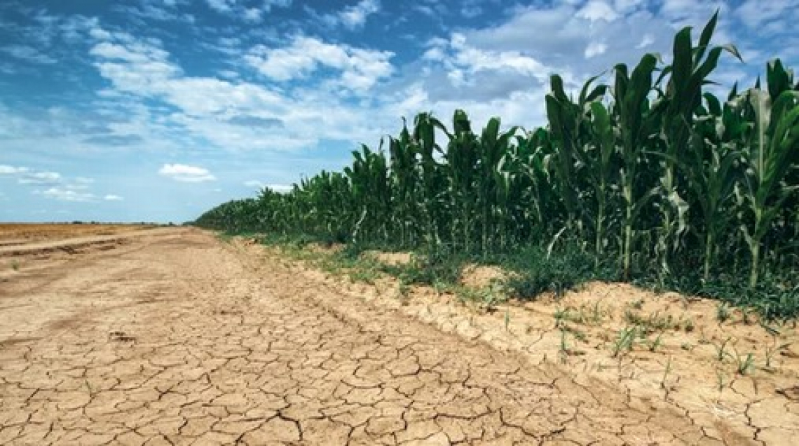 La siccità mette a rischio l'agricoltura italiana
