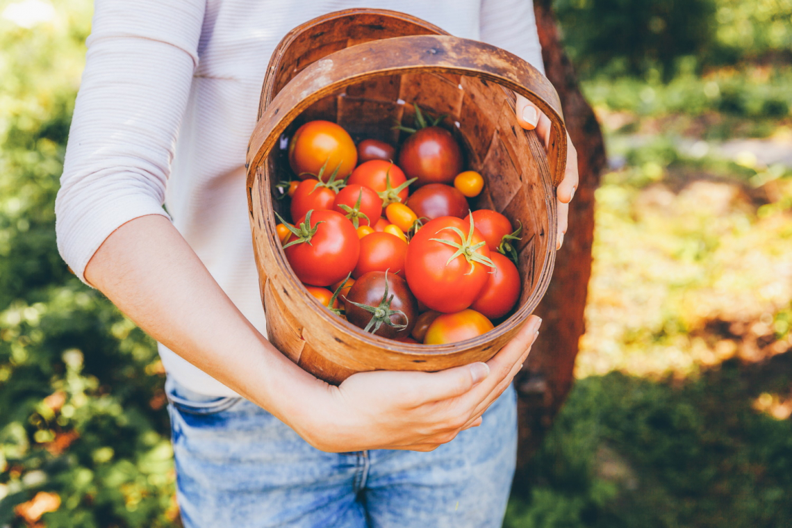 Via il biodinamico dal disegno di legge sull'agricoltura biologica