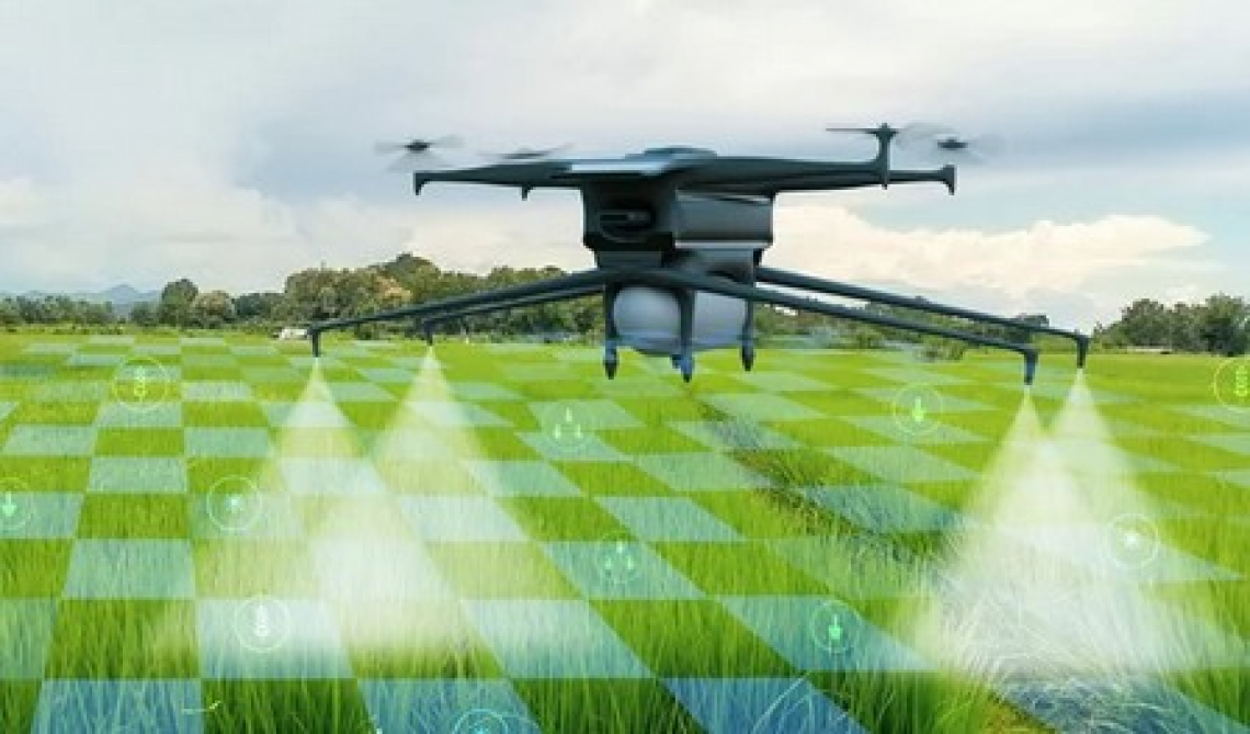 Gli elevati rischi dell'intelligenza artificiale in agricoltura