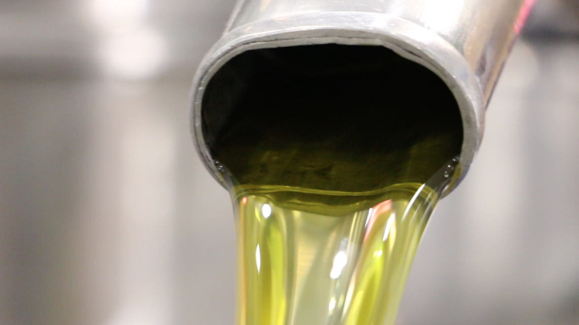Pu&ograve; sembrare facile produrre olio extra vergine di oliva nel Terzo Millennio