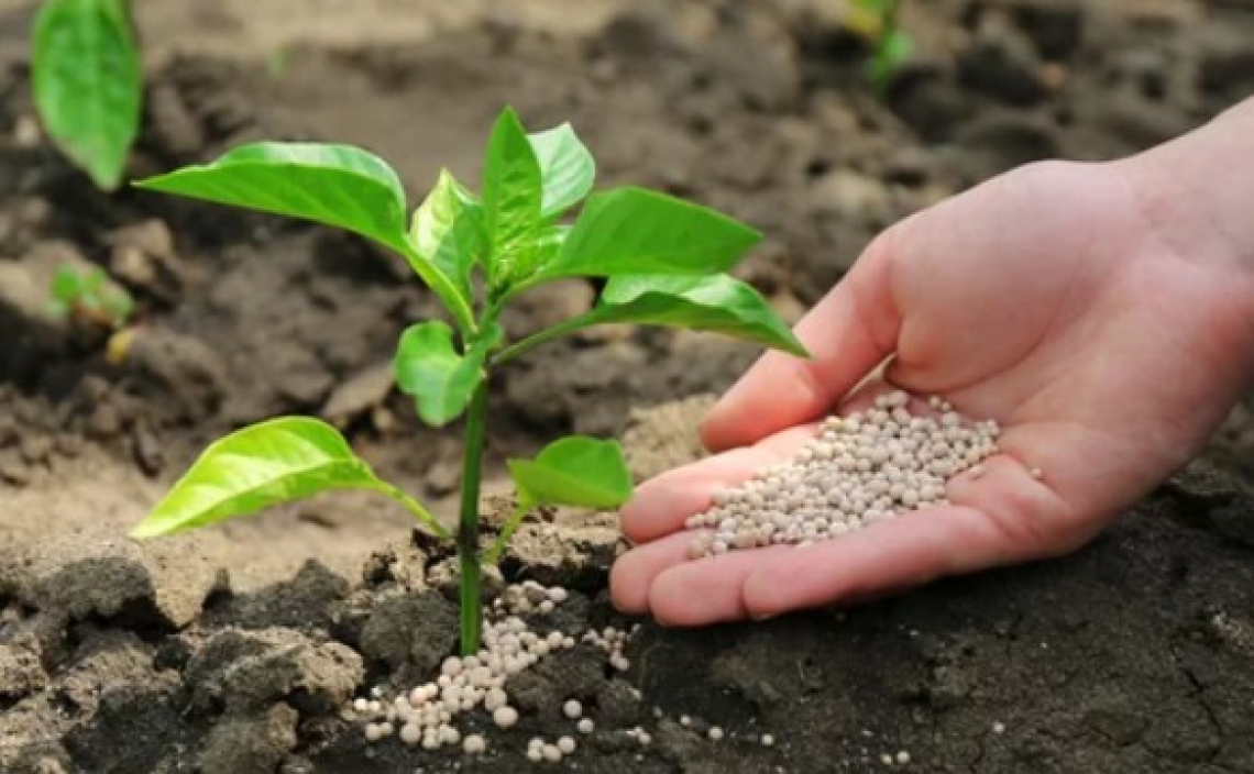 Allarme fertilizzanti per l'agricoltura italiana