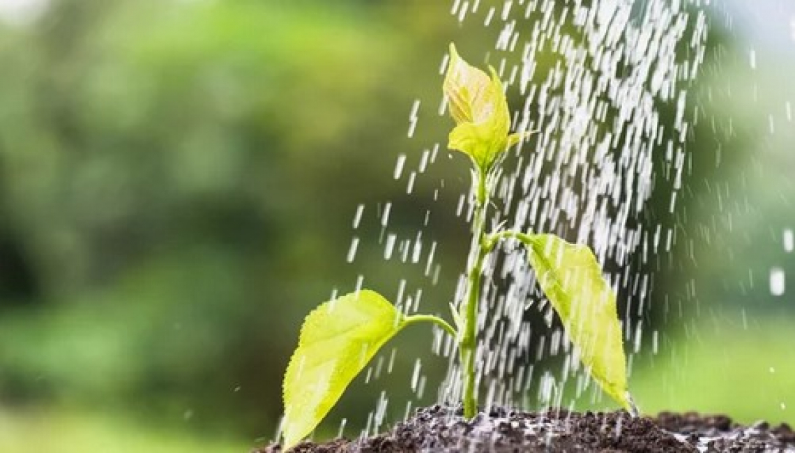 L’acqua è risorsa sempre più strategica per crisi climatica e guerra