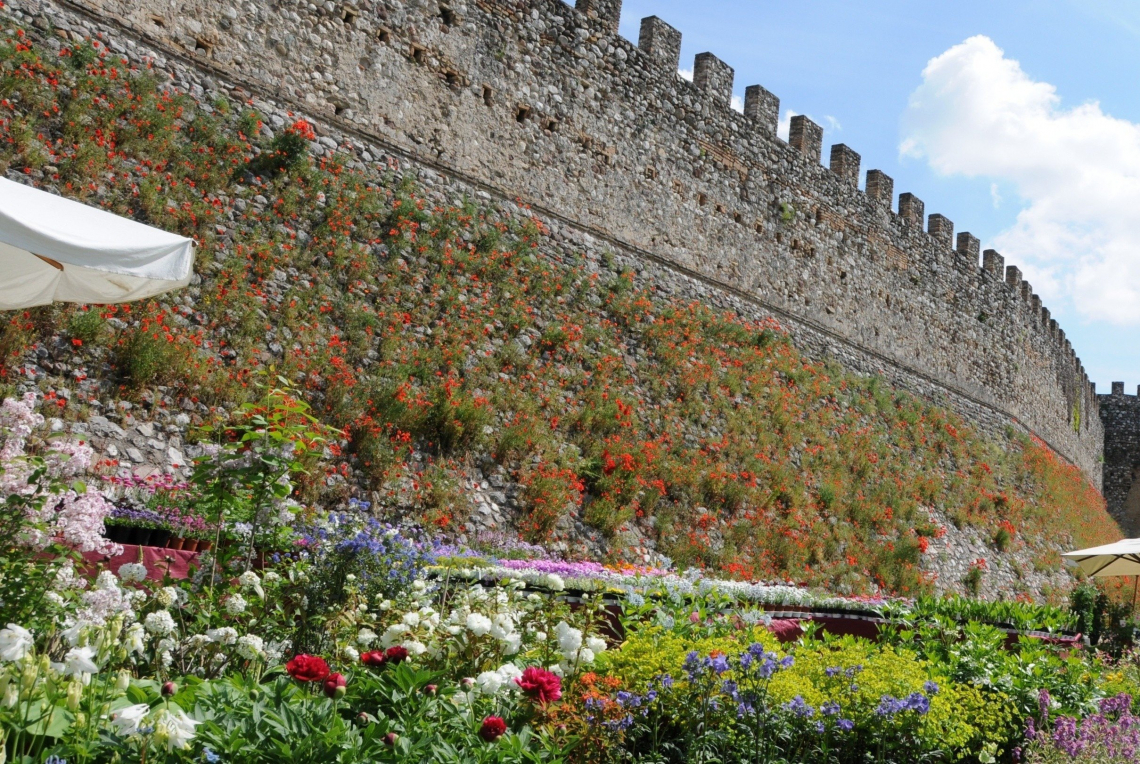 Torna Fiori nella Rocca: mostra mercato di piante rare