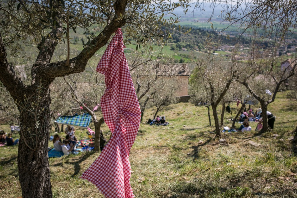 Pic Nic a Trevi. Arte, musica e merende tra gli olivi a metà maggio