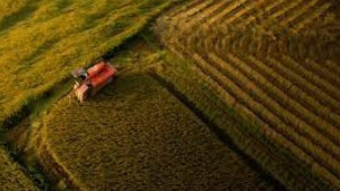 Mille agricoltori in piazza contro shock rincari