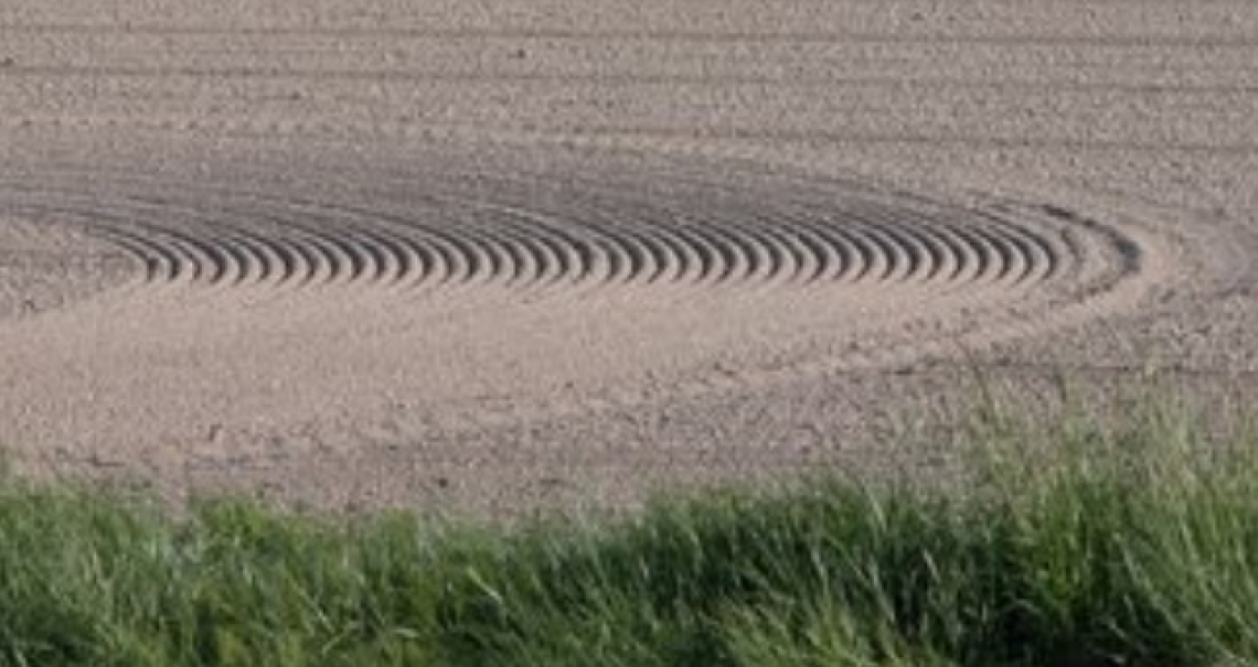 Il mondo festeggia la Giornata mondiale della Terra