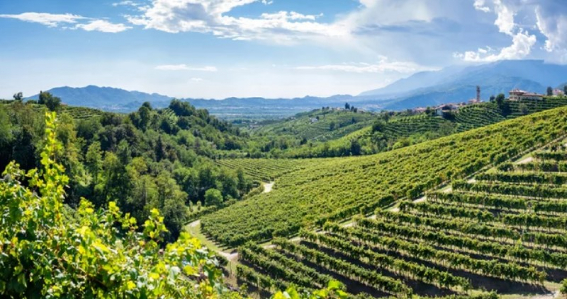 Un nuovo protocollo per le colline del Prosecco