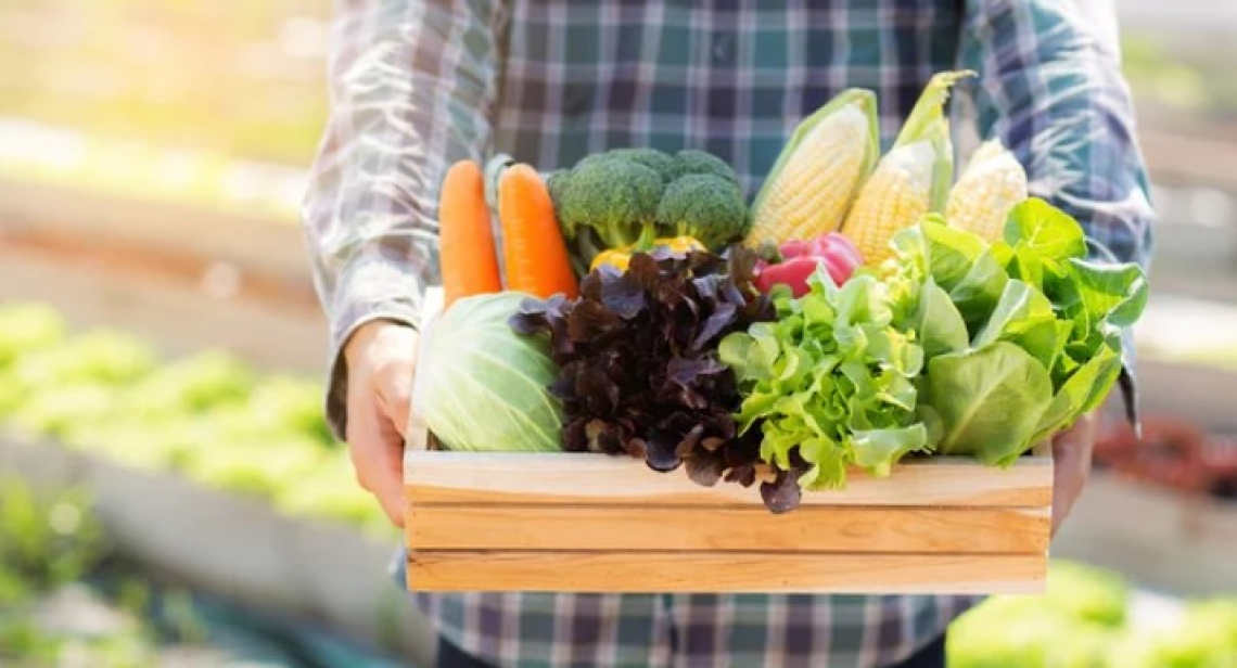 B/Open, verso la terza edizione della rassegna dedicata al bio-food