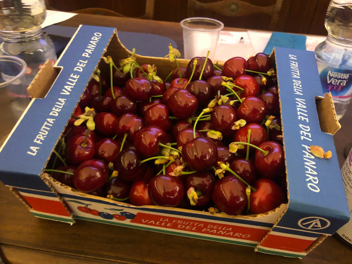 Le qualità produttive, salutistiche e in cucina di ciliegie e amarene