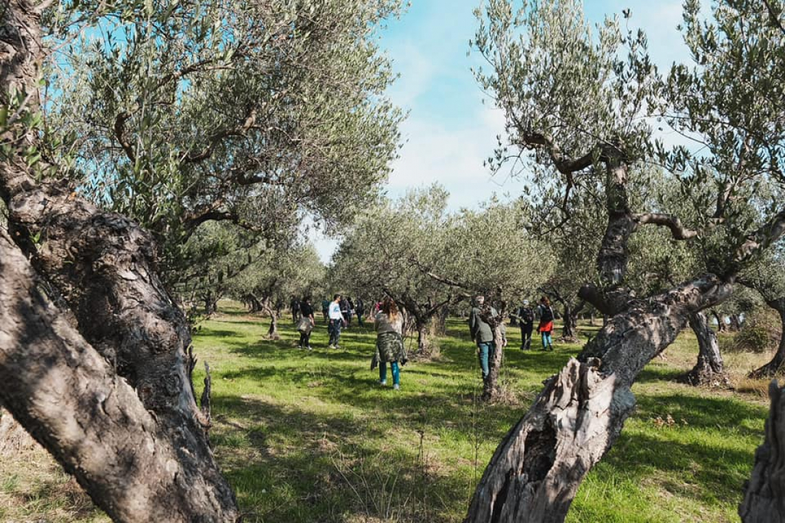 Il 28 e 29 Maggio non solo vino, torna EVO Abruzzo in 12 tra aziende agricole e frantoi