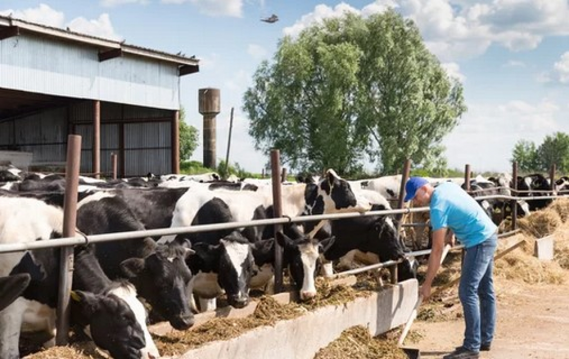 Mancano 100 mila lavoratori per l'agricoltura italiana