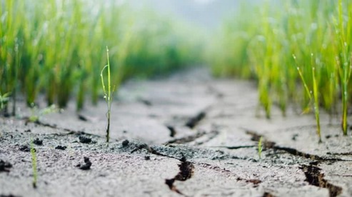 Costi di irrigazione alle stelle nel 2022: cinque volte tanto rispetto a una annata standard