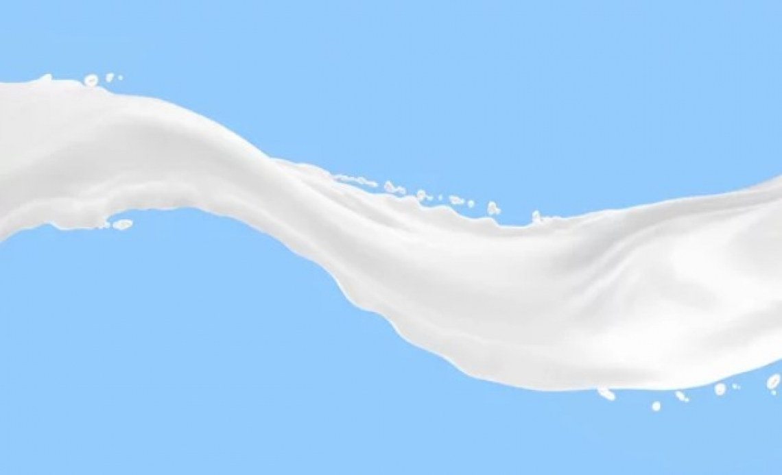 Il latte è una forma d'arte, oltre il nutrimento