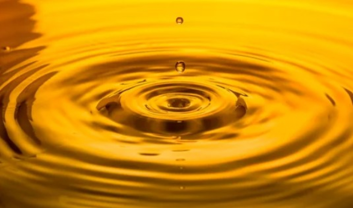 Le differenze nella composizione dell’olio extra vergine di oliva dopo filtrazione alla barese o con filtropressa